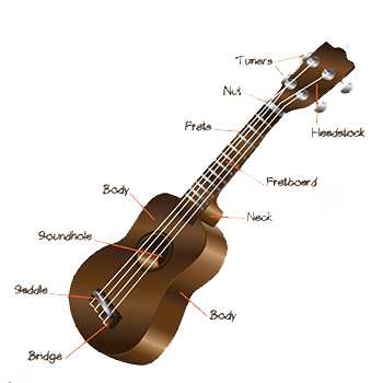 parts of ukulele diagram parts of ukulele diagram