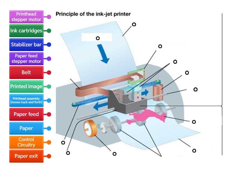 printer parts diagram