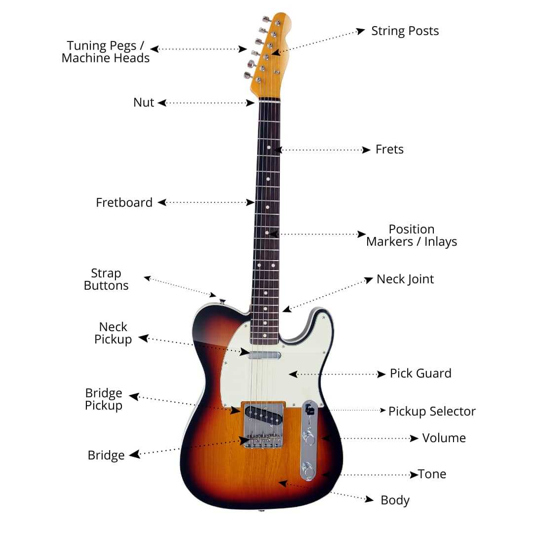 diagram of guitar parts diagram of guitar parts