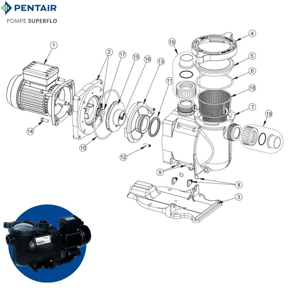 pentair superflo pump parts diagram
