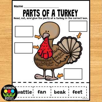 diagram parts of a turkey