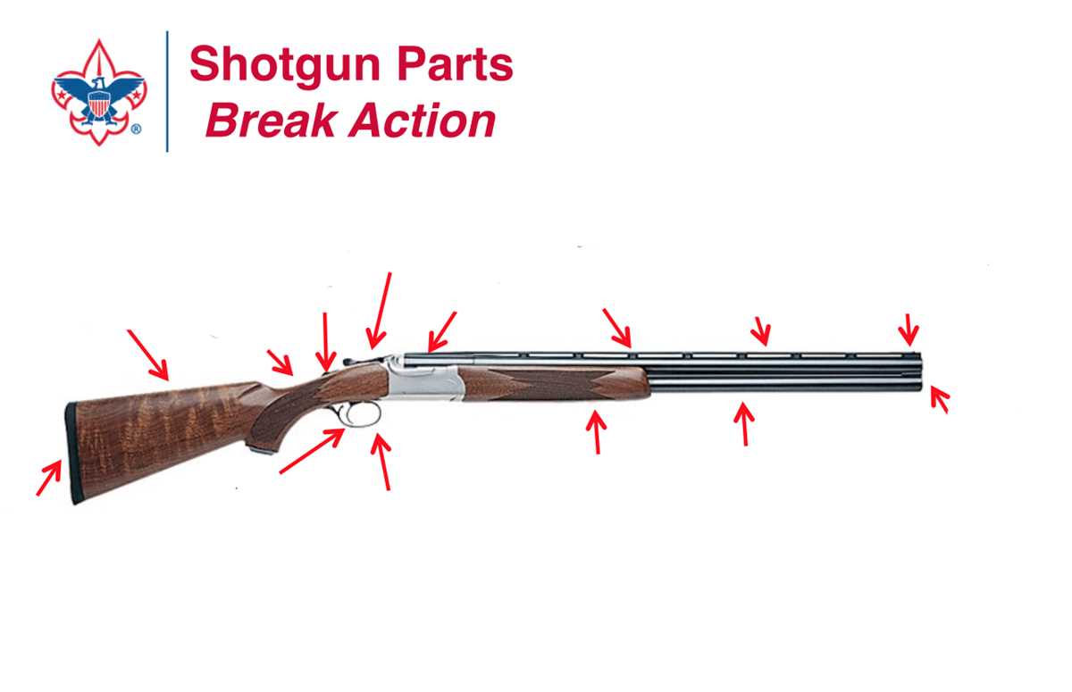 side by side shotgun parts diagram