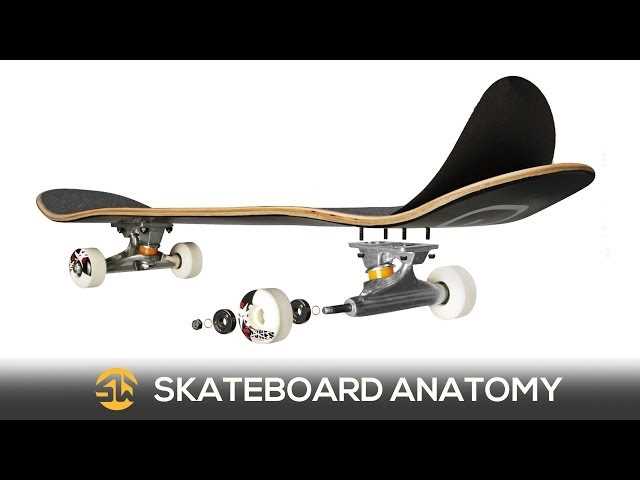 skateboard parts diagram