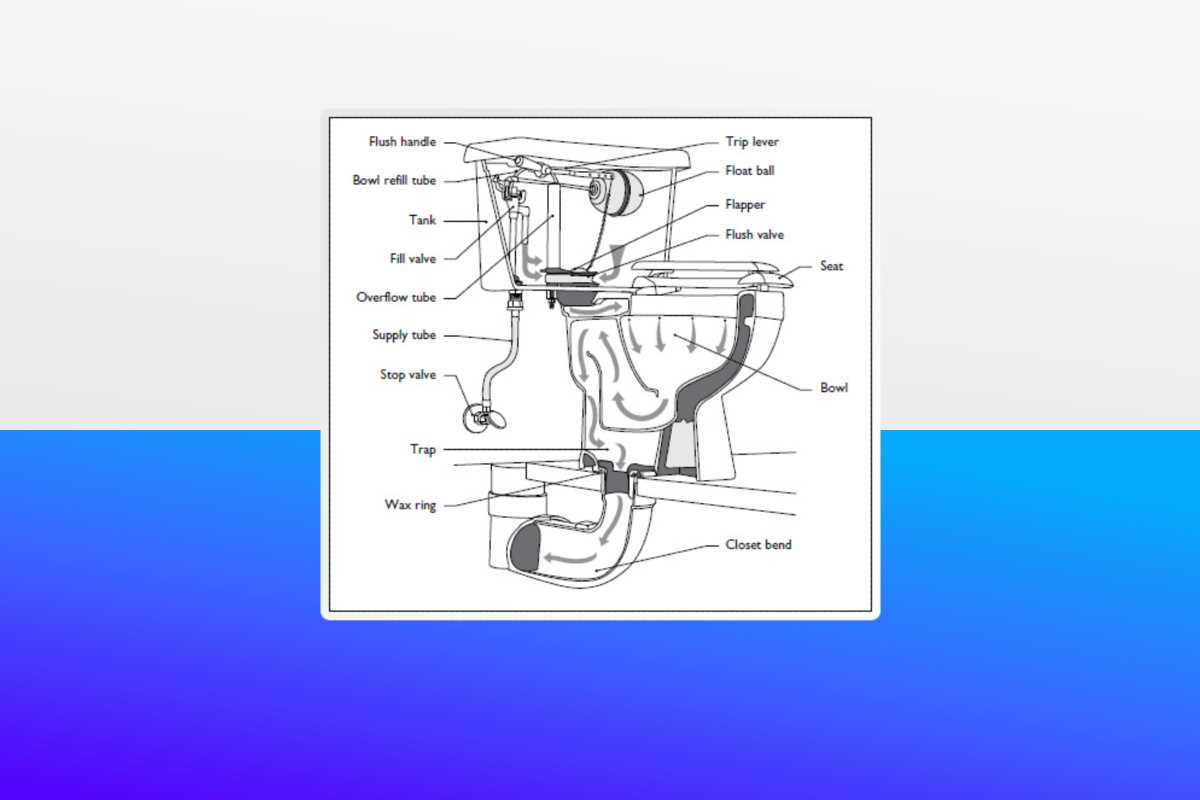sterling toilet parts diagram sterling toilet parts diagram