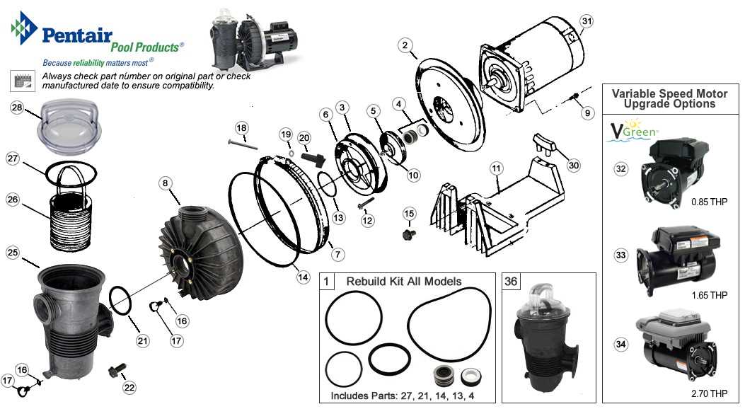 swimming pool pump parts diagram swimming pool pump parts diagram