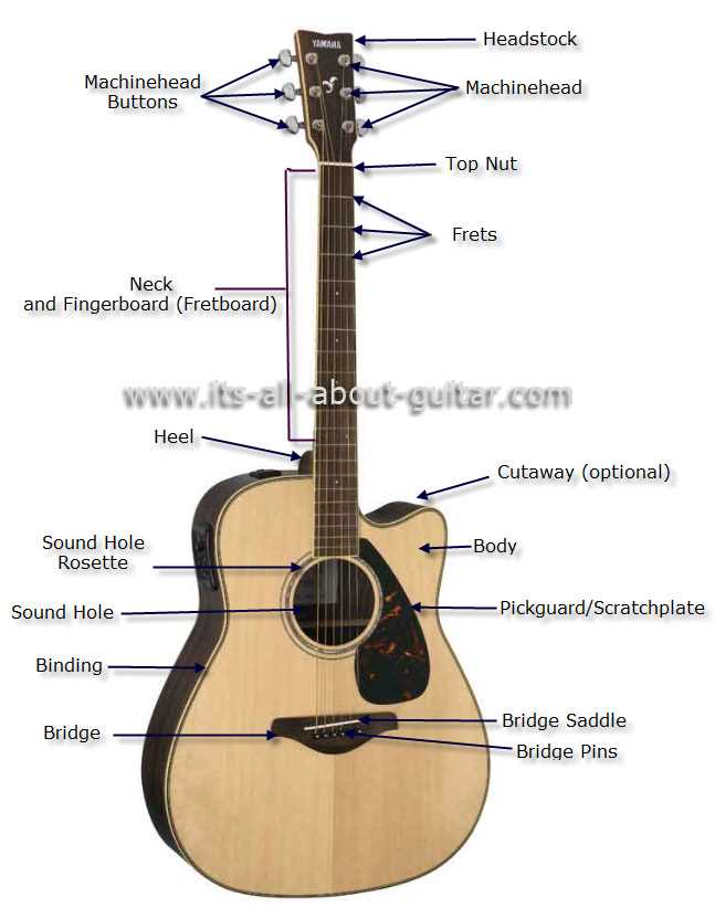 diagram of acoustic guitar parts diagram of acoustic guitar parts