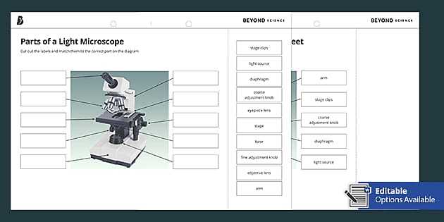 diagram of microscope parts