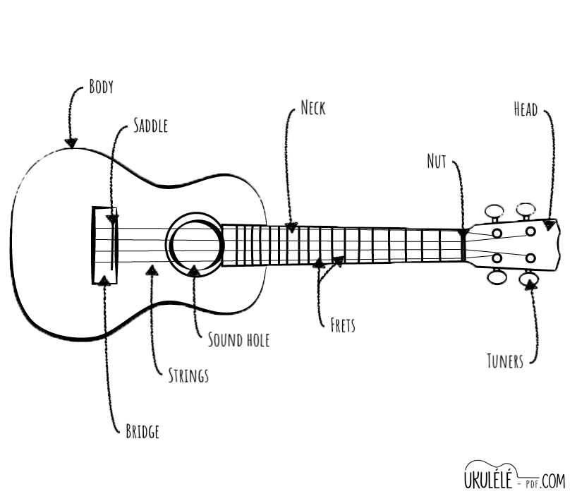 ukulele diagram of parts