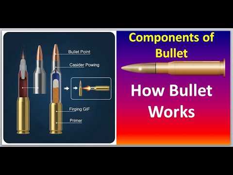 parts of a bullet diagram