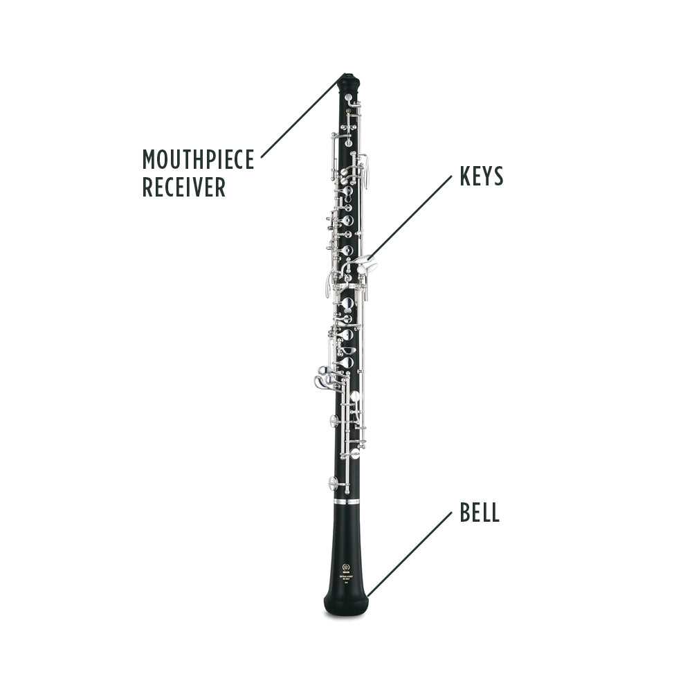 parts of the clarinet diagram