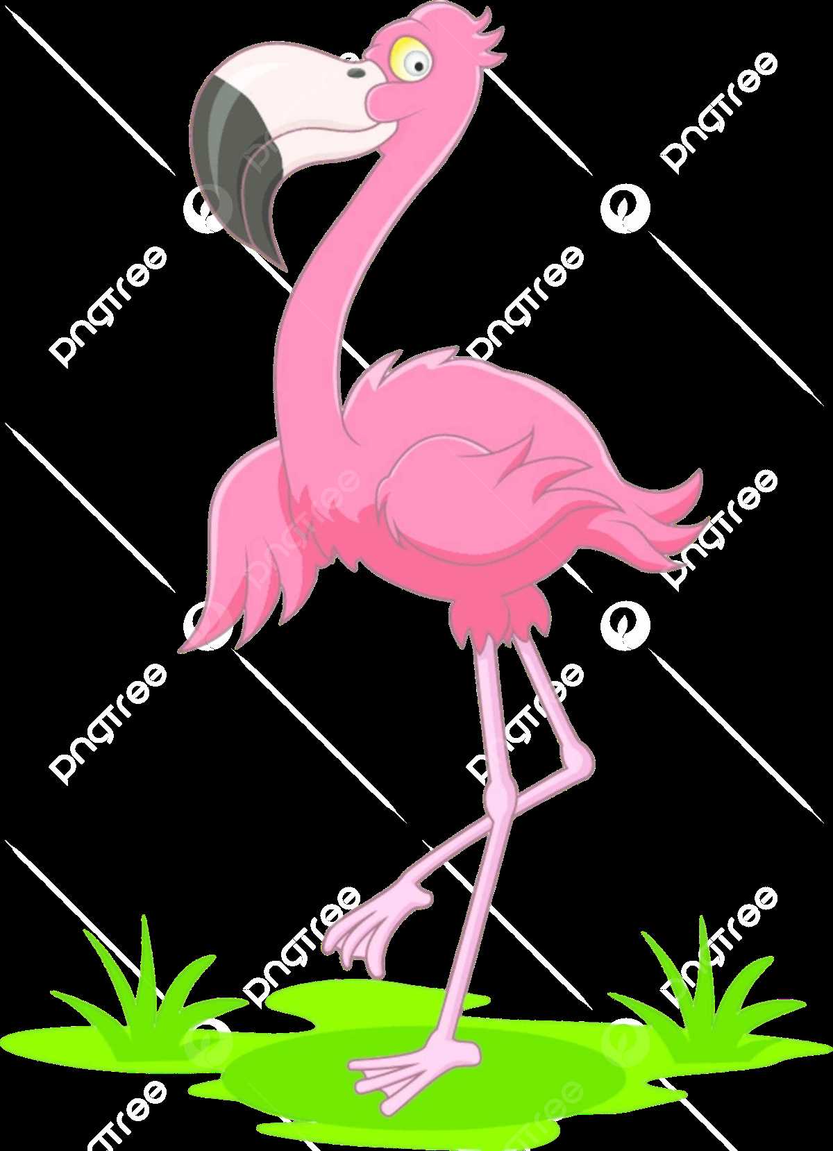 body parts flamingo diagram