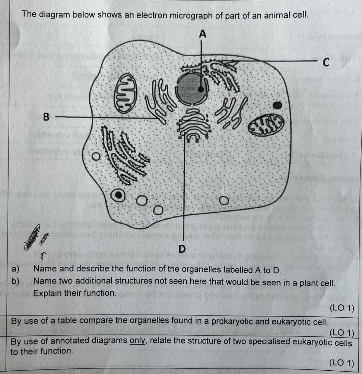 label the two cell parts on the diagram below.