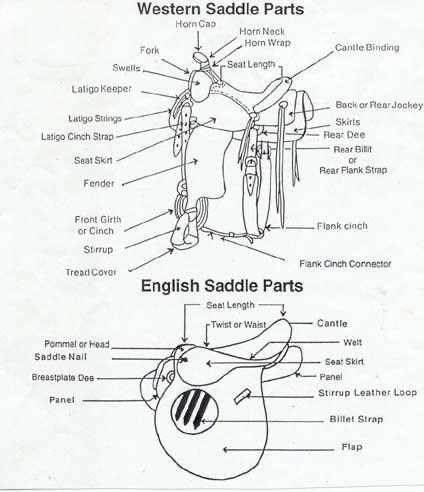 western saddle parts diagram western saddle parts diagram