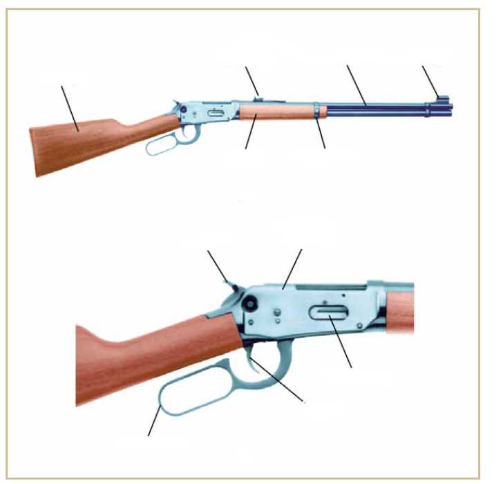 winchester rifle parts diagram