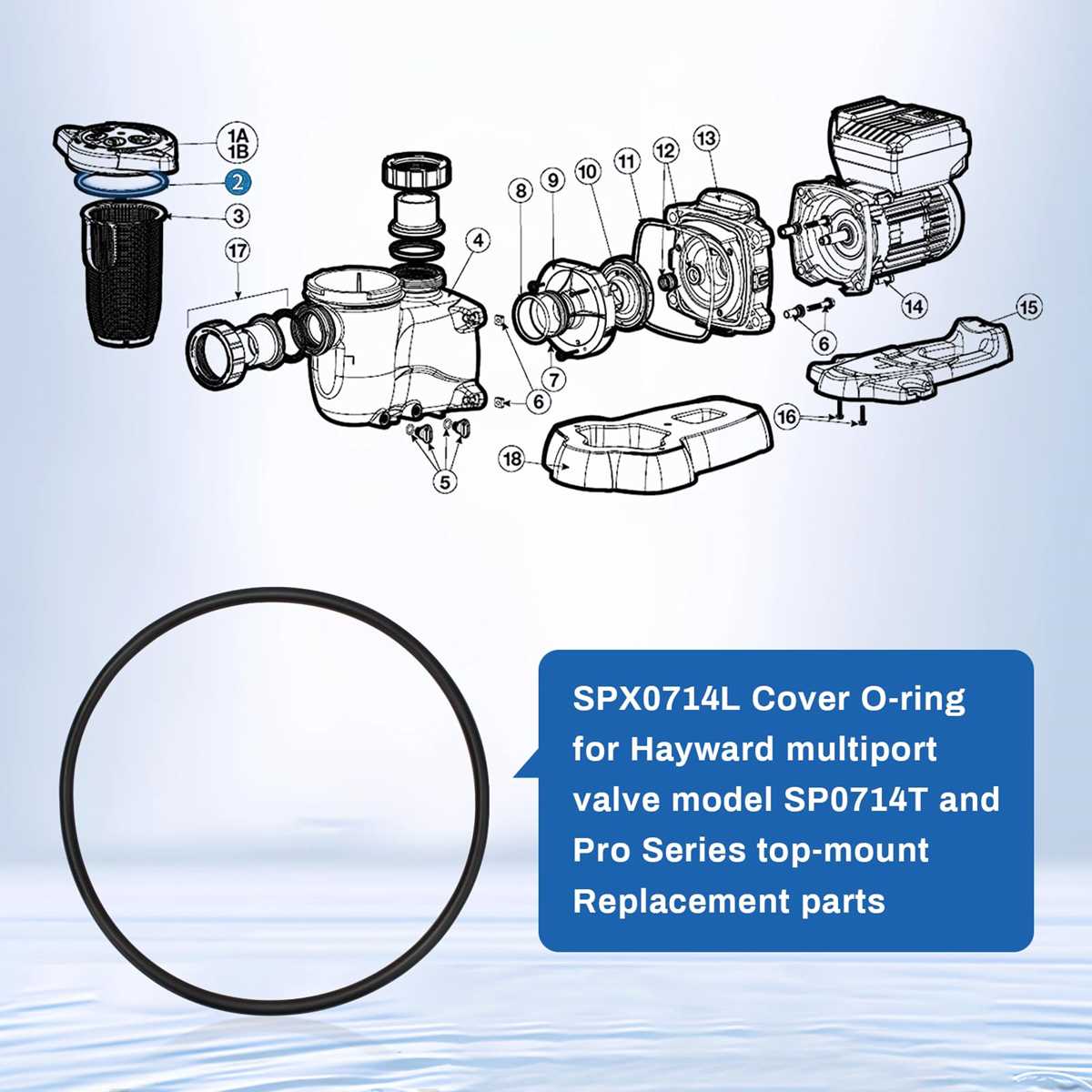hayward vari flo xl valve parts diagram