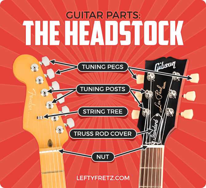 diagram of guitar parts diagram of guitar parts