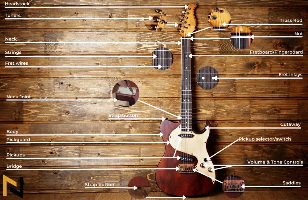 electric guitar parts diagram electric guitar parts diagram